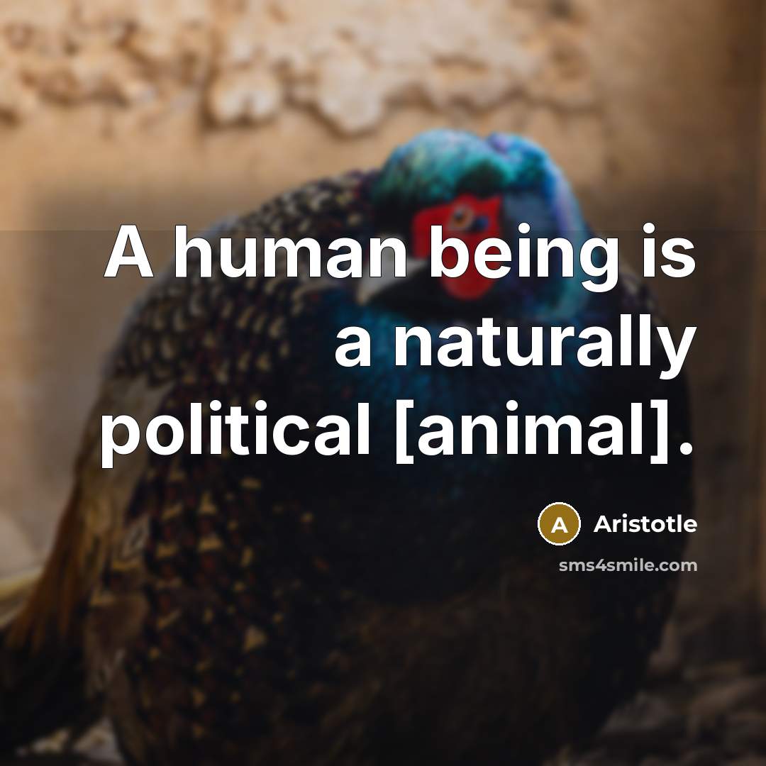 “A human being is a naturally political [animal].…” quote by Aristotle