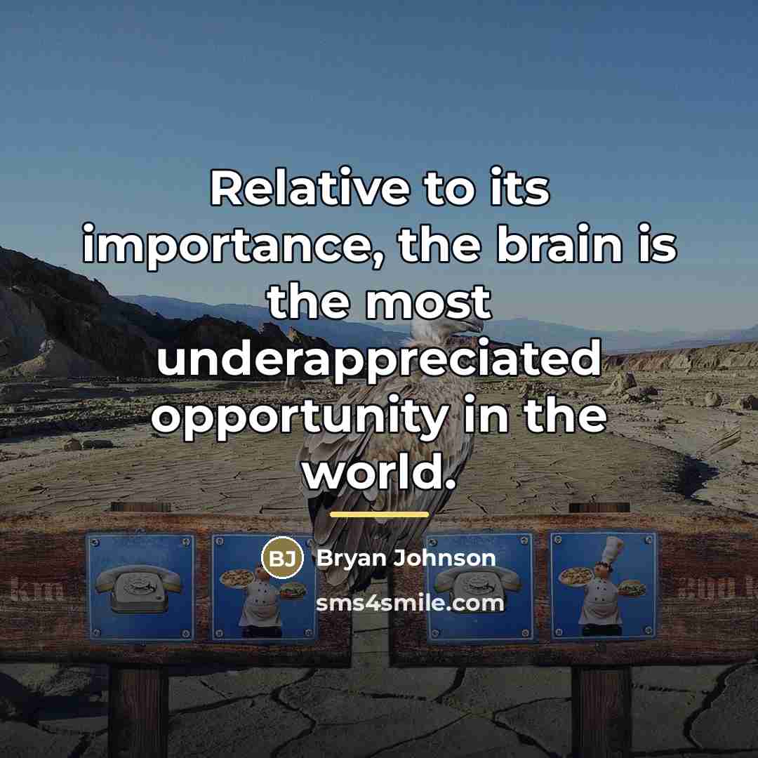“Relative to its importance, the brain is the most underappreciated…” quote by Bryan Johnson