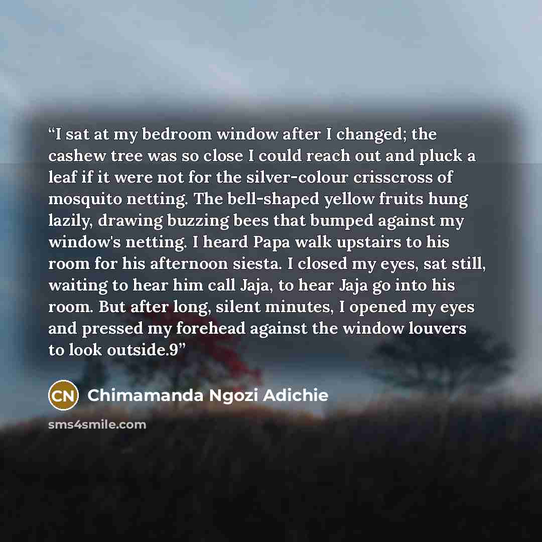 “I sat at my bedroom window after I changed; the cashew tree was so close I could reach out and pluck a leaf if it were not for the silver-colour crisscross of mosquito netting. The bell-shaped yellow fruits hung lazily, drawing buzzing bees that bumped against my window's netting. I heard Papa…” quote by Chimamanda Ngozi Adichie