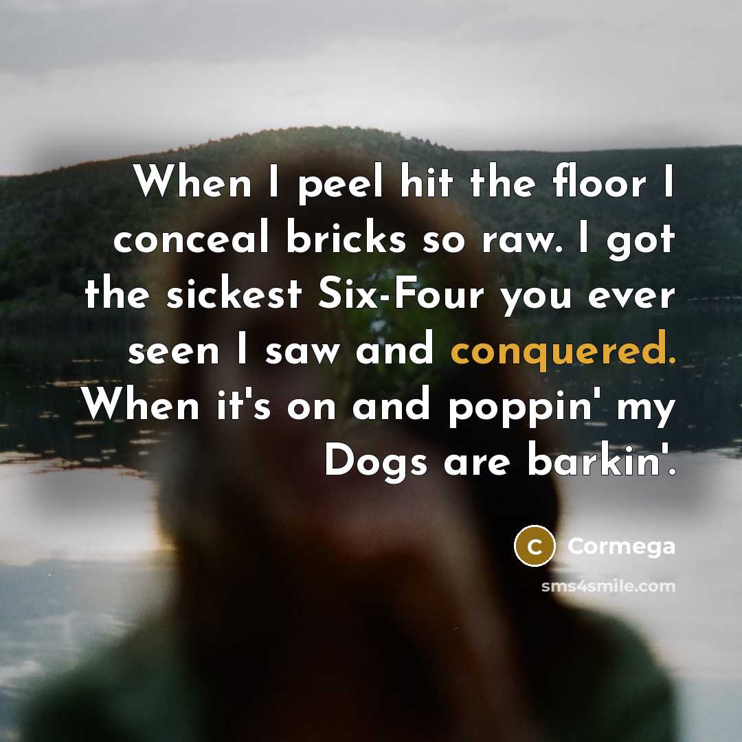 “When I peel hit the floor I conceal bricks so raw. I got the sickest Six-Four you ever seen I saw and conquered. When it's on and poppin' my Dogs are barkin'.” quote by Cormega
