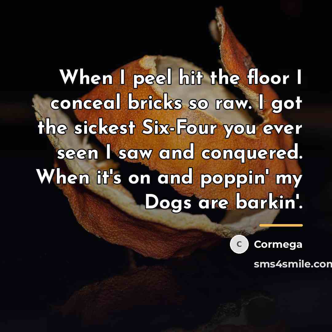 “When I peel hit the floor I conceal bricks so…” quote by Cormega