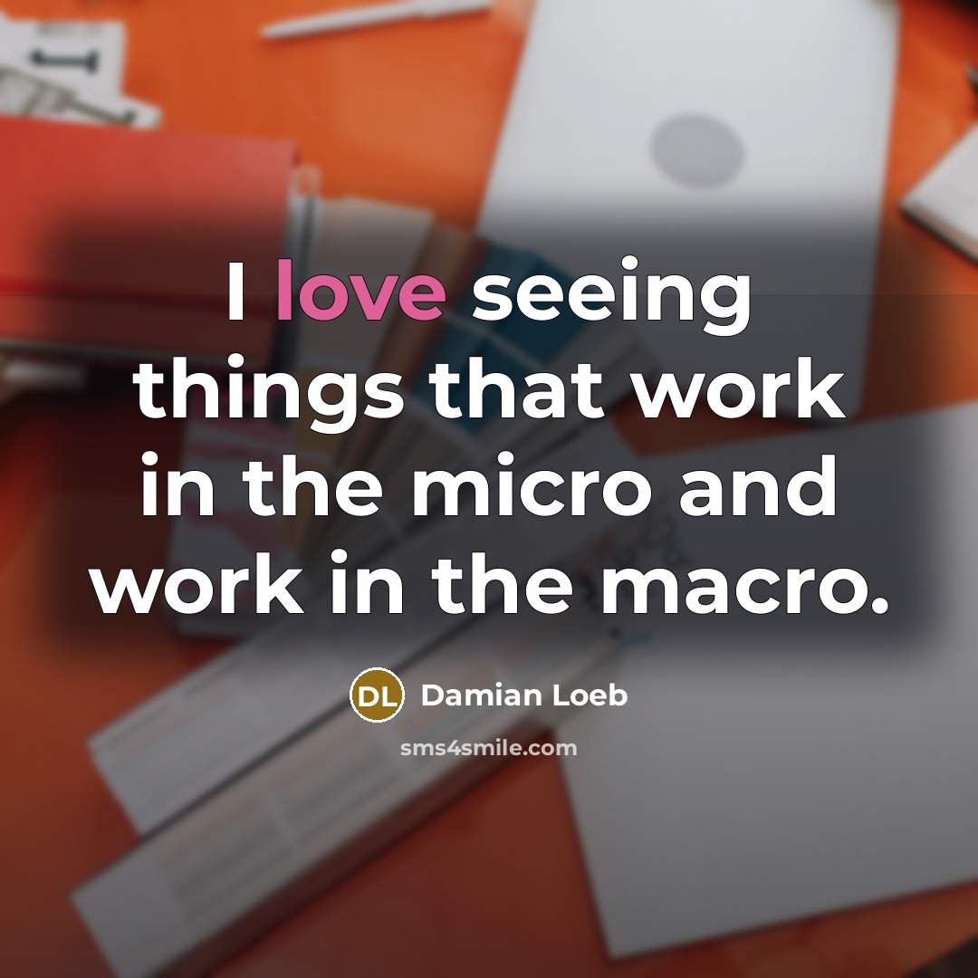 “I love seeing things that work in the micro and work in the macro.” quote by Damian Loeb