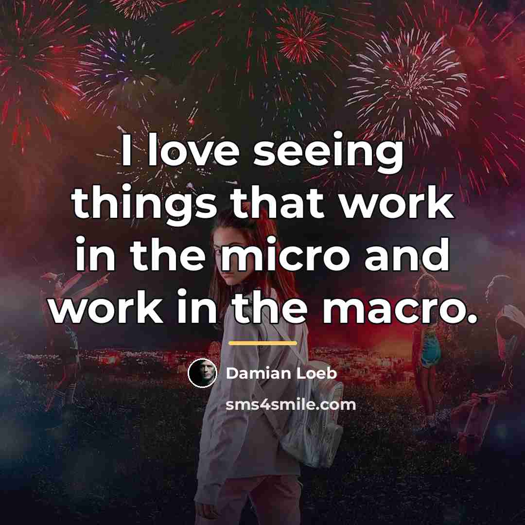 “I love seeing things that work in the micro and…” quote by Damian Loeb