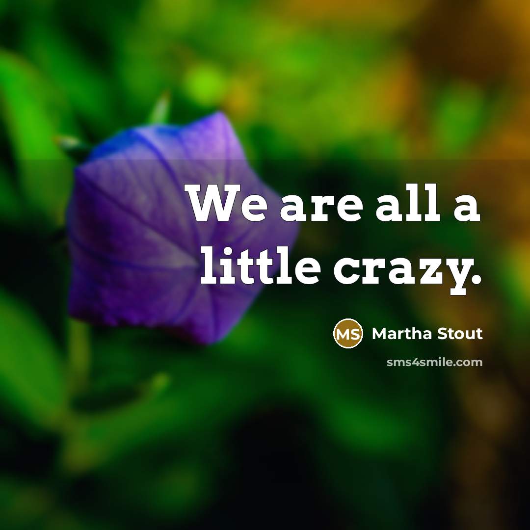 “We are all a little crazy.…” quote by Martha Stout