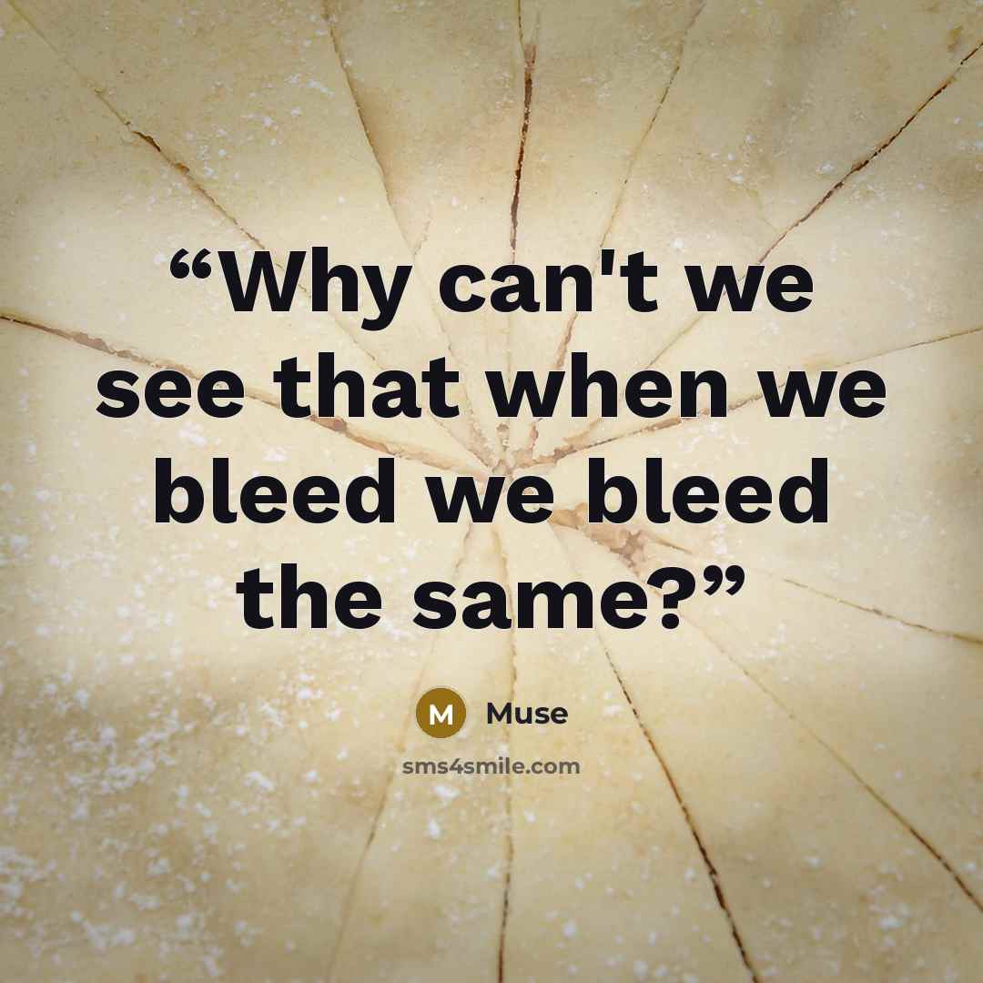 “Why can't we see that when we bleed we bleed the same?” quote by Muse