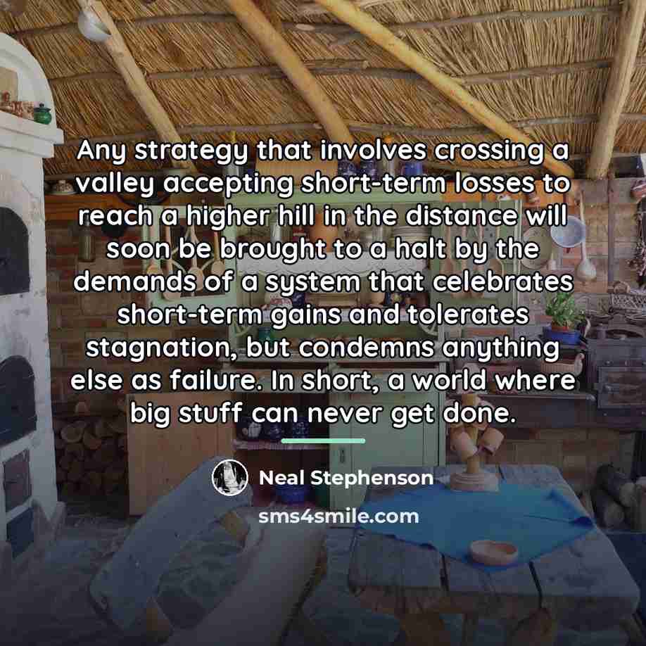 “Any strategy that involves crossing a valley accepting short-term losses…” quote by Neal Stephenson