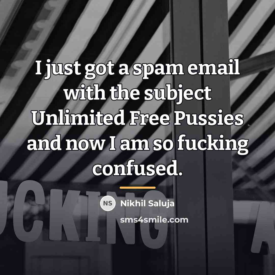 “I just got a spam email with the subject Unlimited…” quote by Nikhil Saluja