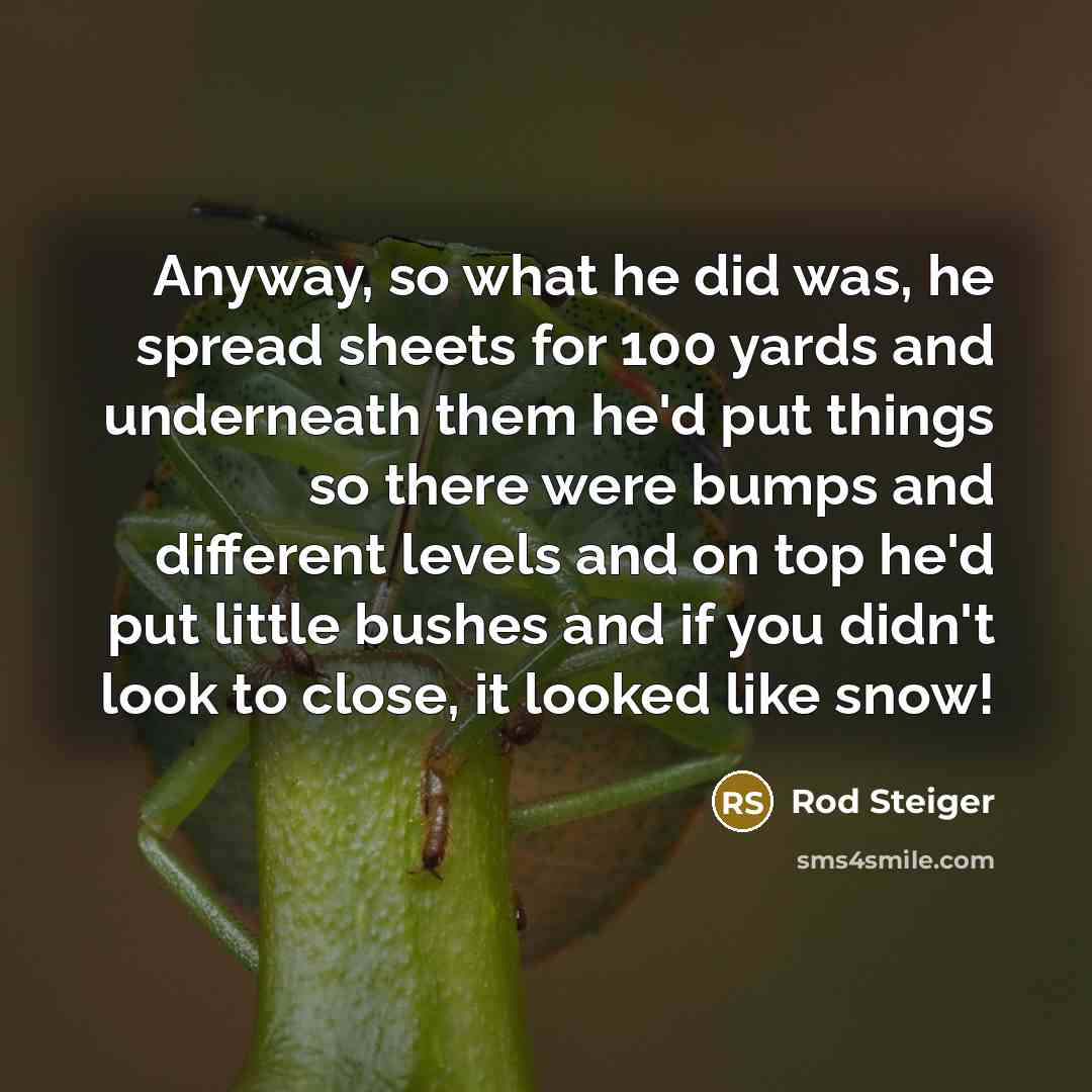 “Anyway, so what he did was, he spread sheets for…” quote by Rod Steiger