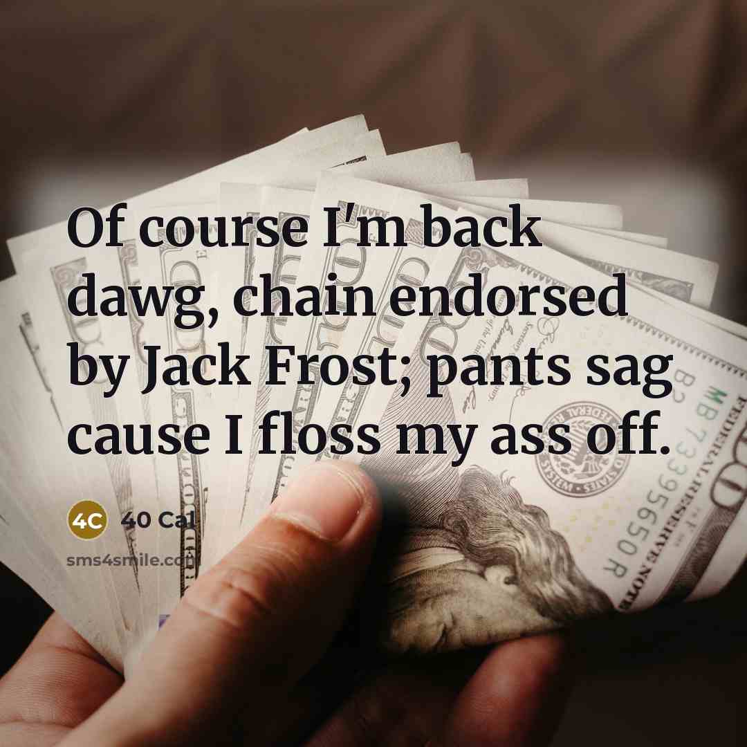 “Of course I'm back dawg, chain endorsed by Jack Frost; pants sag cause I floss my ass off.” quote by 40 Cal