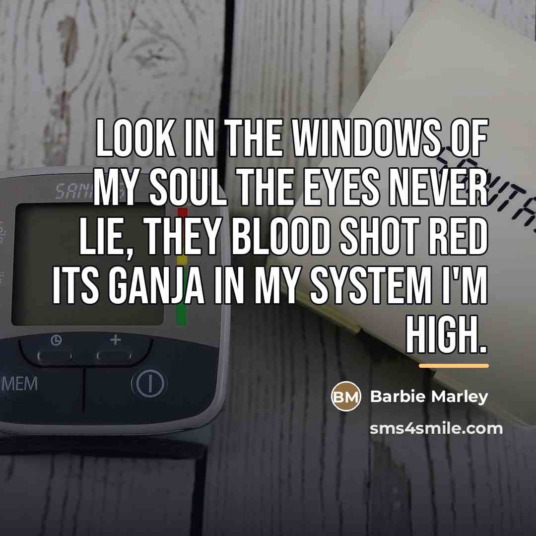 “Look in the windows of my soul the eyes never…” quote by Barbie Marley
