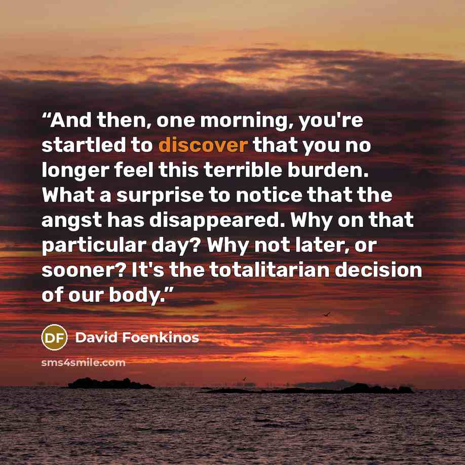“And then, one morning, you're startled to discover that you no longer feel this terrible burden. What a surprise to notice that the angst has disappeared. Why on that particular day? Why not later, or sooner? It's the totalitarian decision of our body.” quote by David Foenkinos