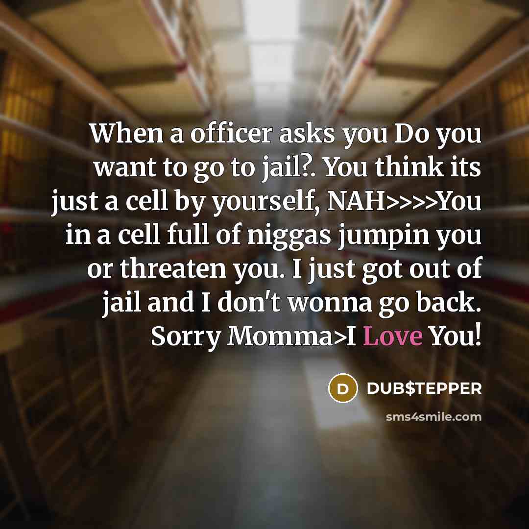 “When a officer asks you Do you want to go to jail?. You think its just a cell by yourself, NAH>>>>You in a cell full of niggas jumpin you or threaten you. I just got out of jail and I don't wonna go back. Sorry Momma>I Love You!” quote by DUB$TEPPER