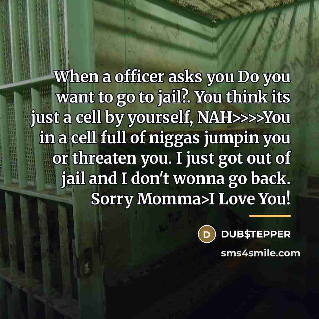 “When a officer asks you Do you want to go…” quote by DUB$TEPPER