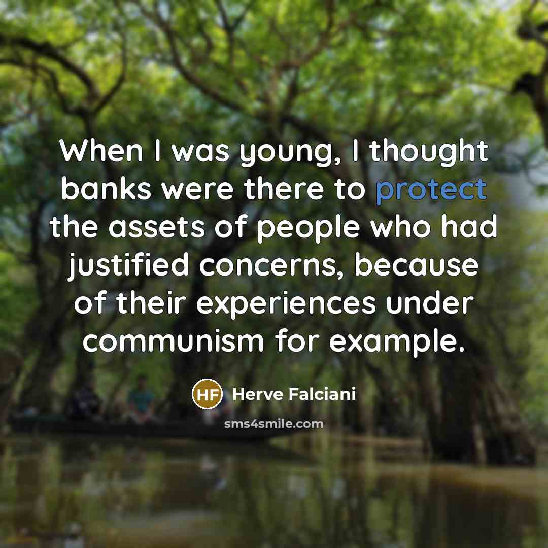 “When I was young, I thought banks were there to…” quote by Herve Falciani