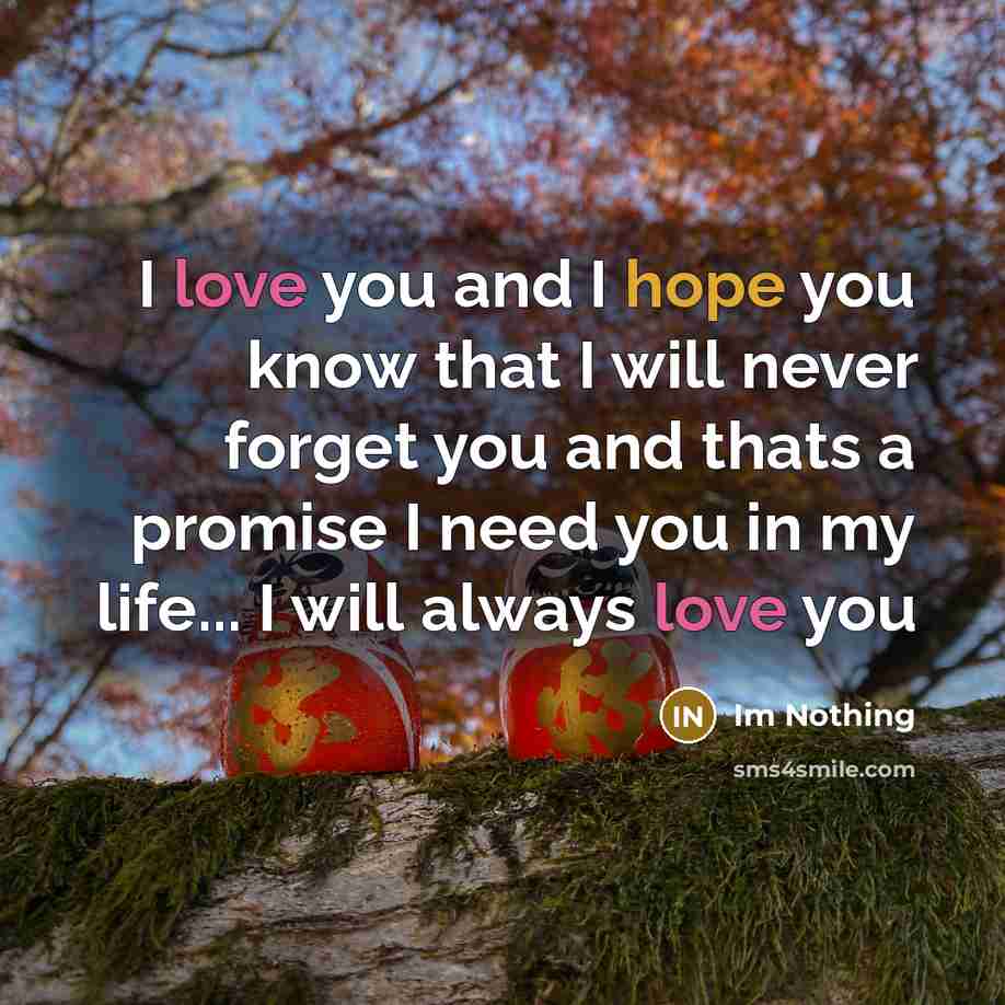 “I love you and I hope you know that I…” quote by Im Nothing