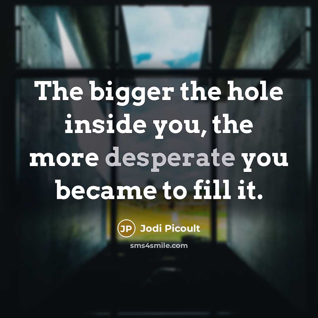 “The bigger the hole inside you, the more desperate you…” quote by Jodi Picoult