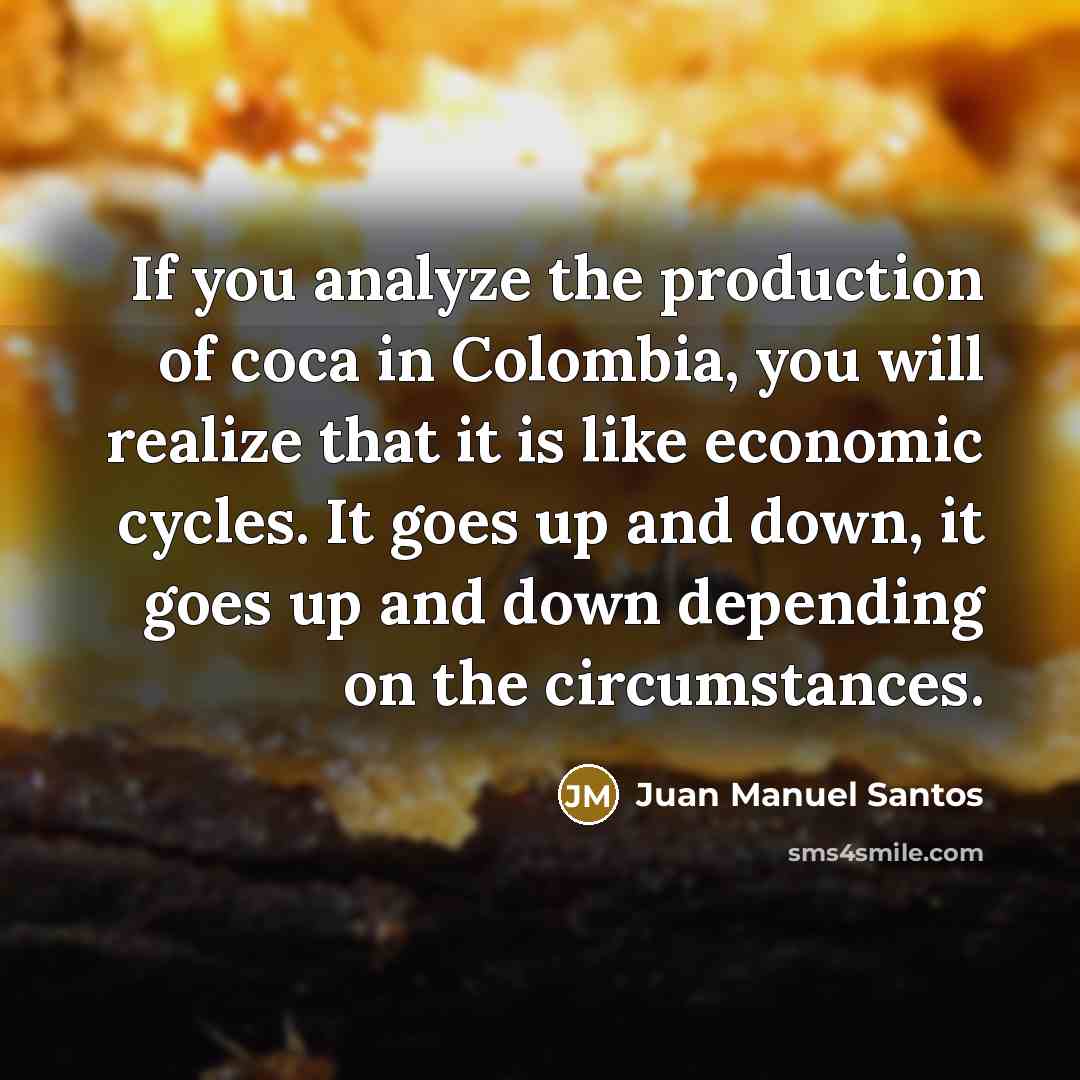 “If you analyze the production of coca in Colombia, you…” quote by Juan Manuel Santos