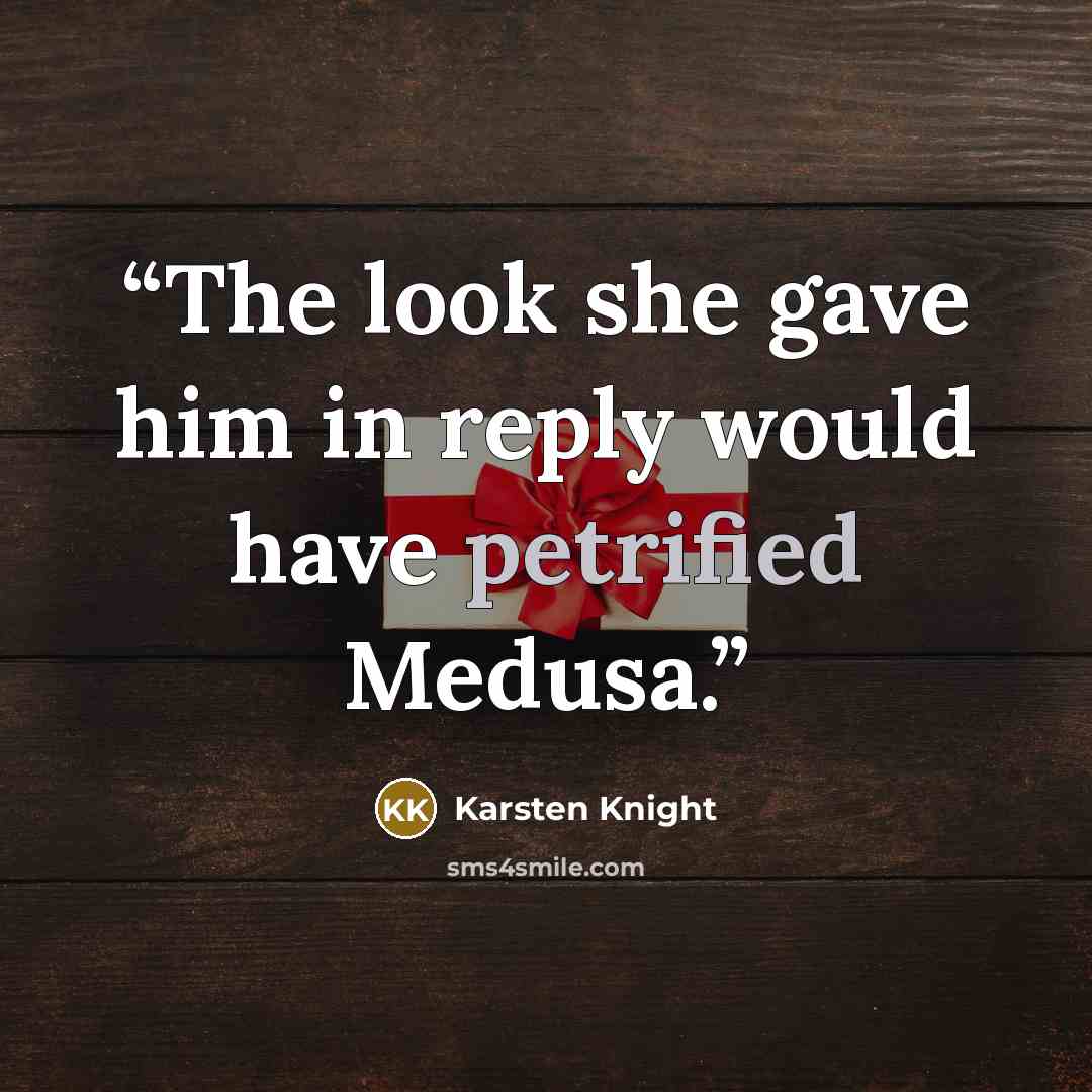 “The look she gave him in reply would have petrified Medusa.” quote by Karsten Knight
