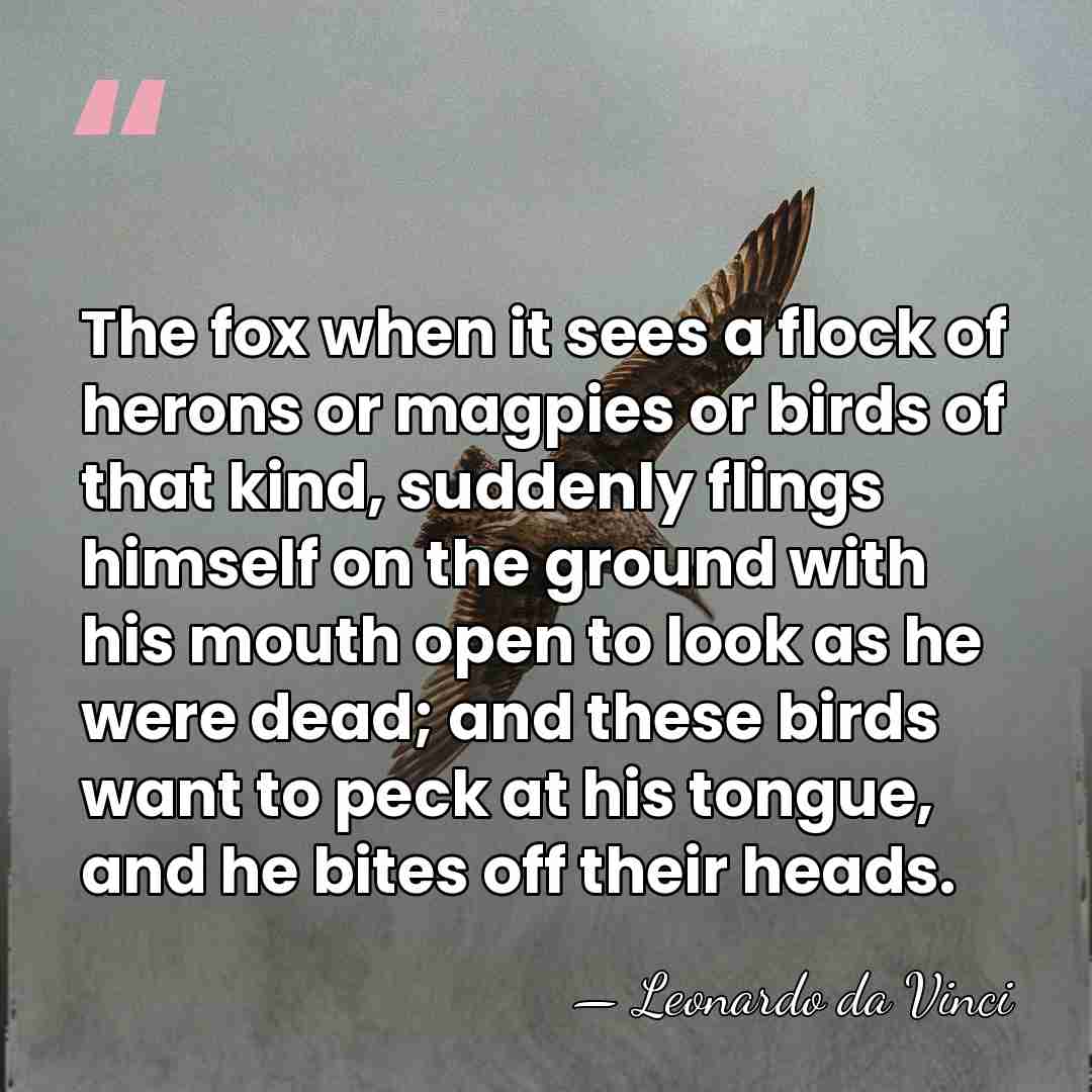 The fox when it sees a flock of herons or magpies or&hellip; - Leonardo da Vinci