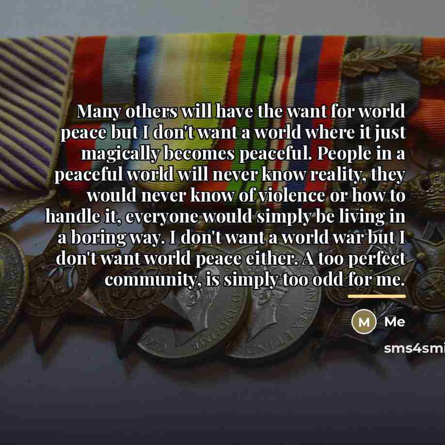 “Many others will have the want for world peace but…” quote by Me