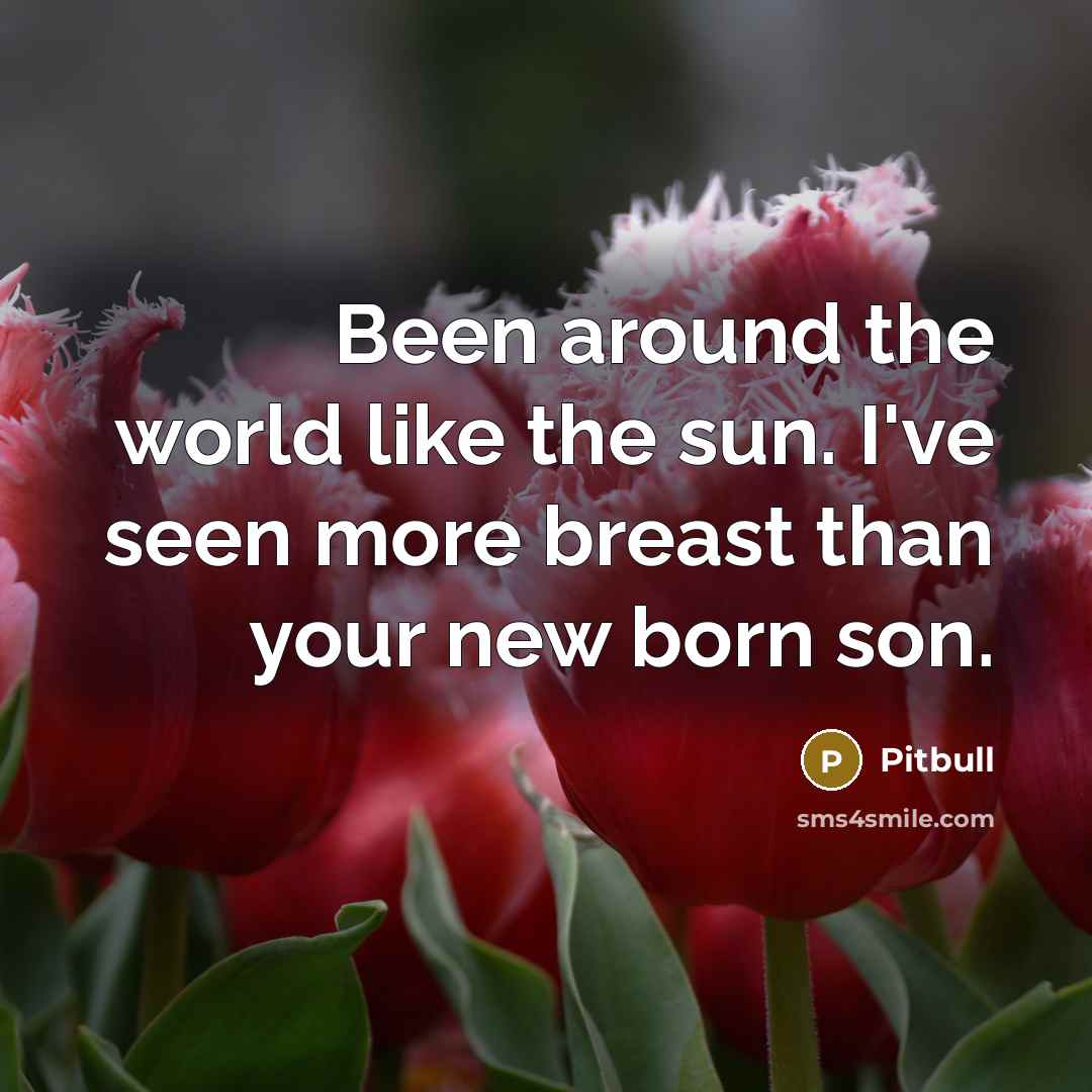 “Been around the world like the sun. I've seen more…” quote by Pitbull