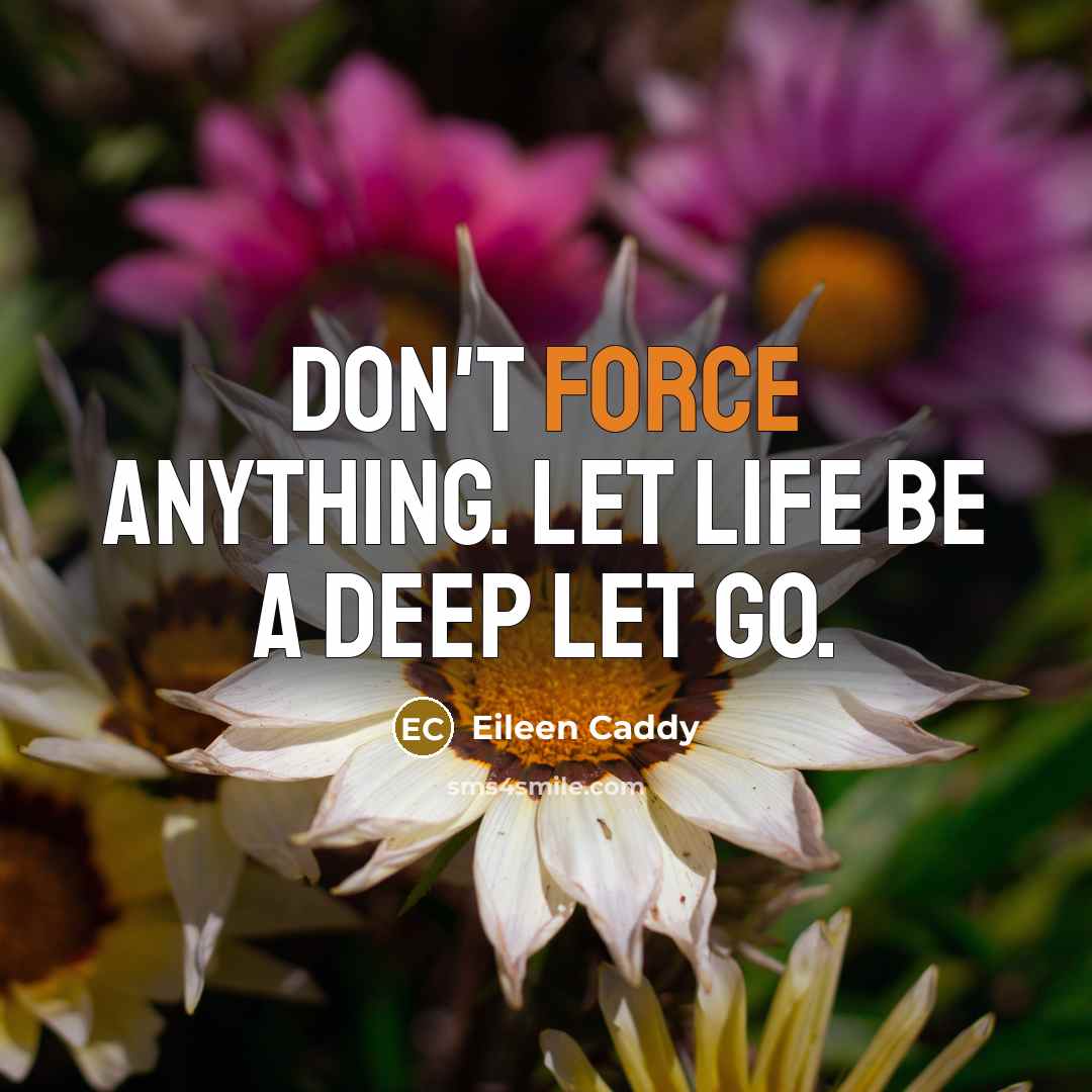 “Don't force anything. Let life be a deep let go.…” quote by Eileen Caddy