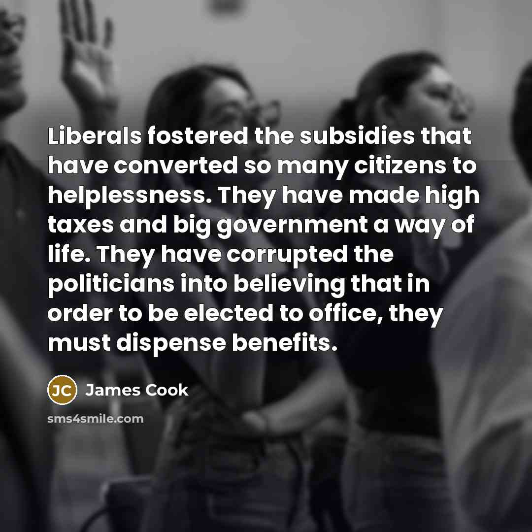 “Liberals fostered the subsidies that have converted so many citizens…” quote by James Cook