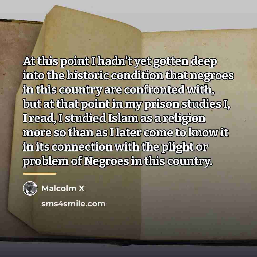 “At this point I hadn't yet gotten deep into the…” quote by Malcolm X