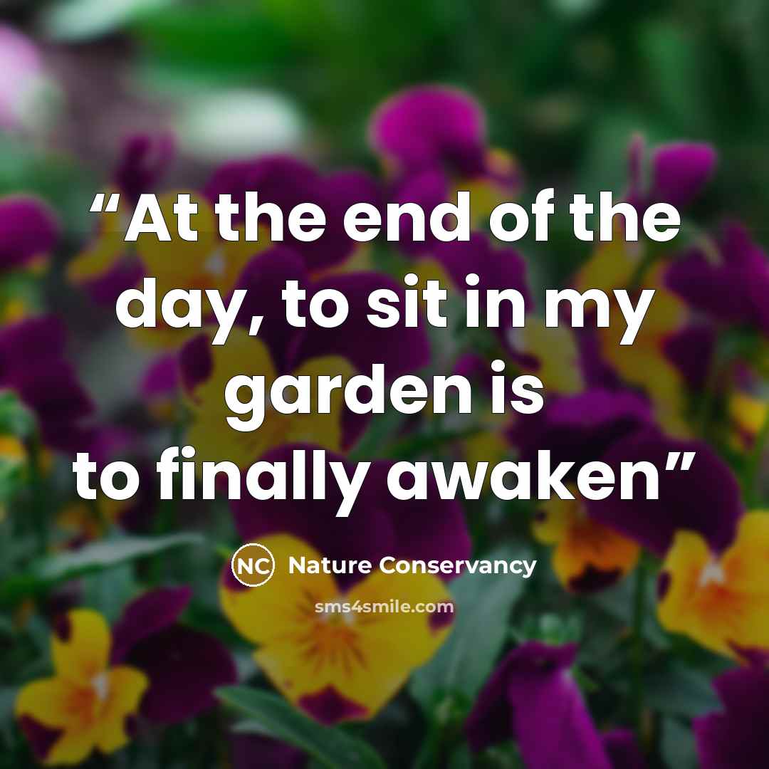 “At the end of the day, to sit in my garden is to finally awaken” quote by Nature Conservancy