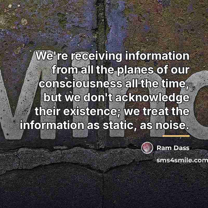 “We're receiving information from all the planes of our consciousness…” quote by Ram Dass