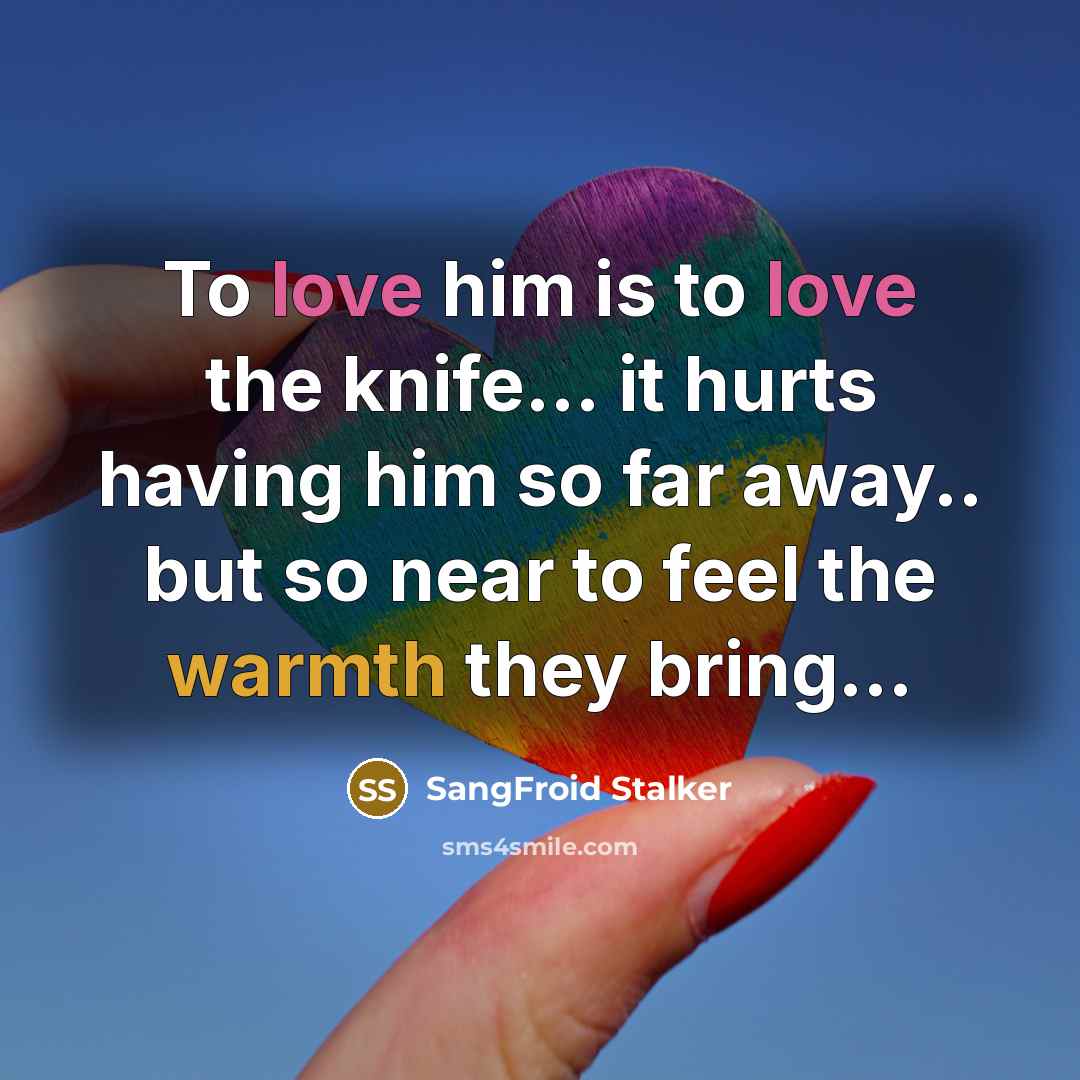 “To love him is to love the knife... it hurts…” quote by SangFroid Stalker
