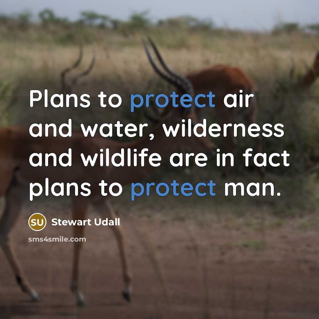 “Plans to protect air and water, wilderness and wildlife are…” quote by Stewart Udall