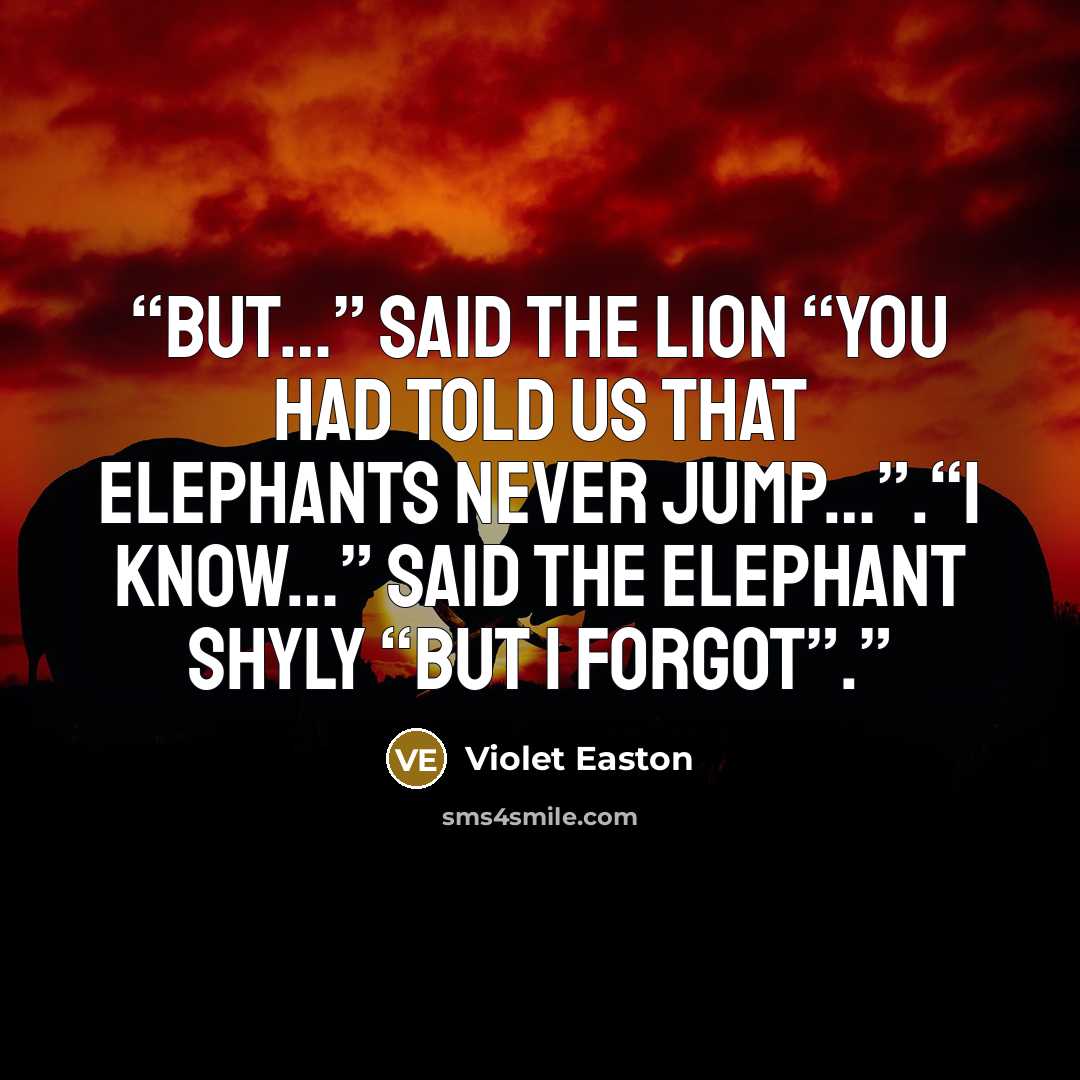 “But…” said the lion “you had told us that elephants never jump…”.“I know…” said the elephant shyly “But I forgot”.” quote by Violet Easton