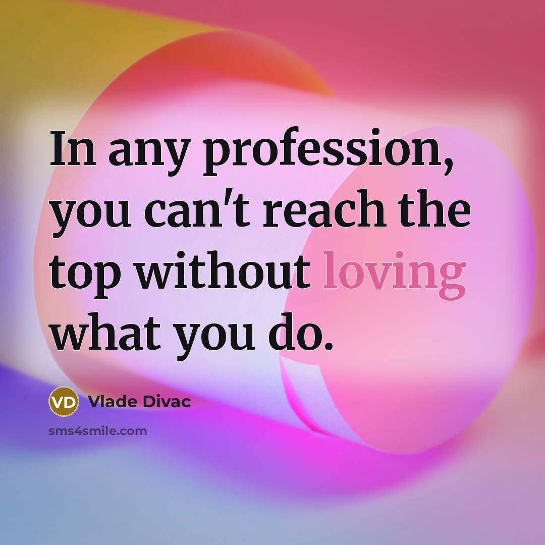 “In any profession, you can't reach the top without loving…” quote by Vlade Divac