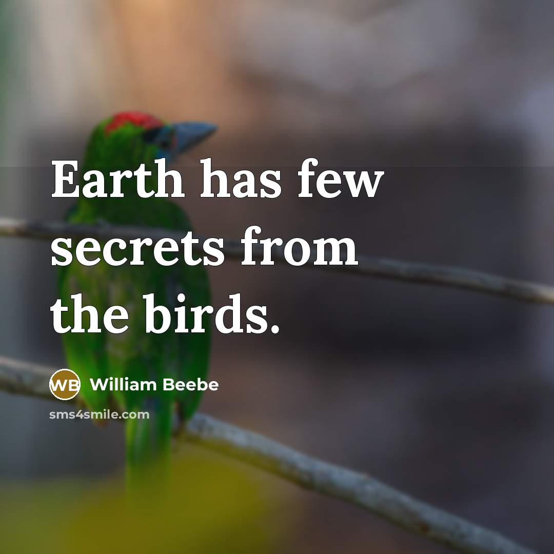 “Earth has few secrets from the birds.…” quote by William Beebe
