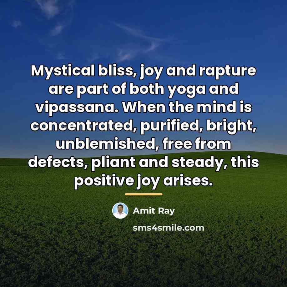“Mystical bliss, joy and rapture are part of both yoga…” quote by Amit Ray