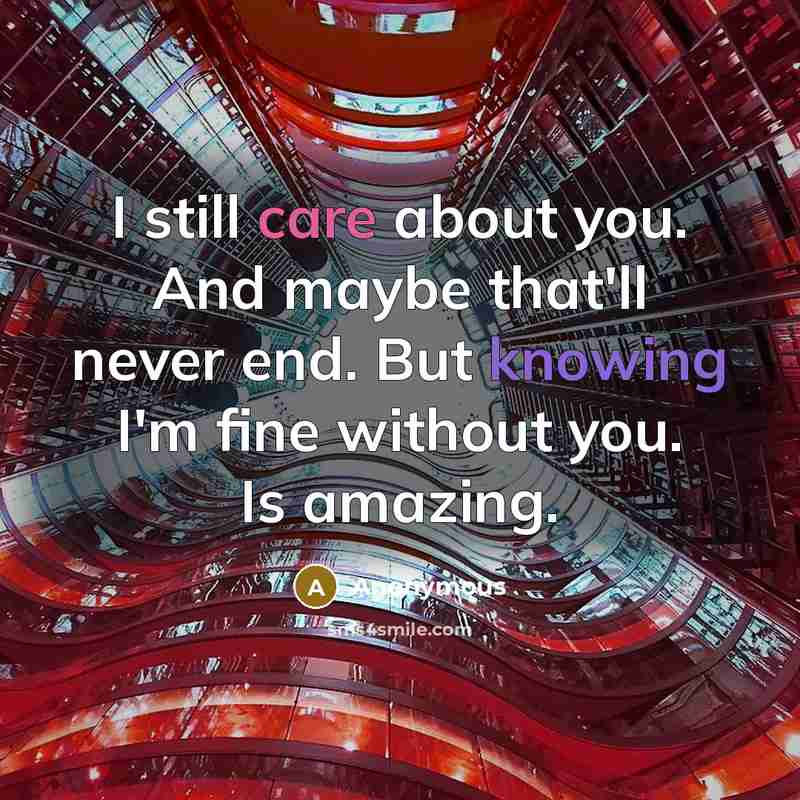 “I still care about you. And maybe that'll never end. But knowing I'm fine without you. Is amazing.” quote by Anonymous