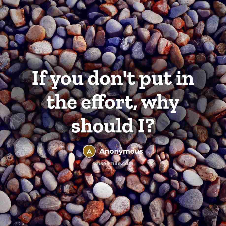“If you don't put in the effort, why should I?…” quote by Anonymous