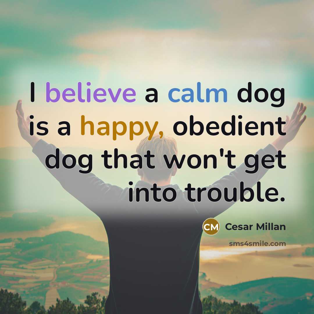 “I believe a calm dog is a happy, obedient dog…” quote by Cesar Millan