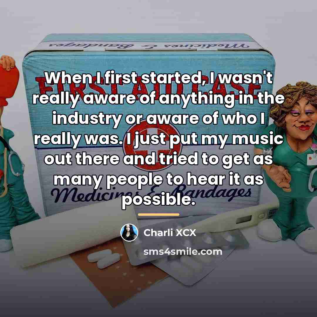 “When I first started, I wasn't really aware of anything…” quote by Charli XCX