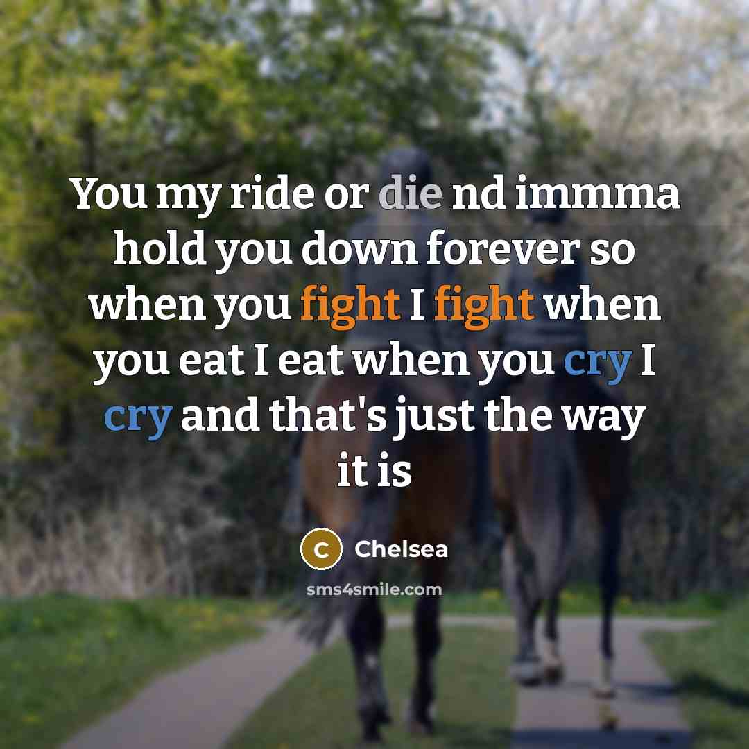 “You my ride or die nd immma hold you down forever so when you fight I fight when you eat I eat when you cry I cry and that's just the way it is” quote by CHELSEA
