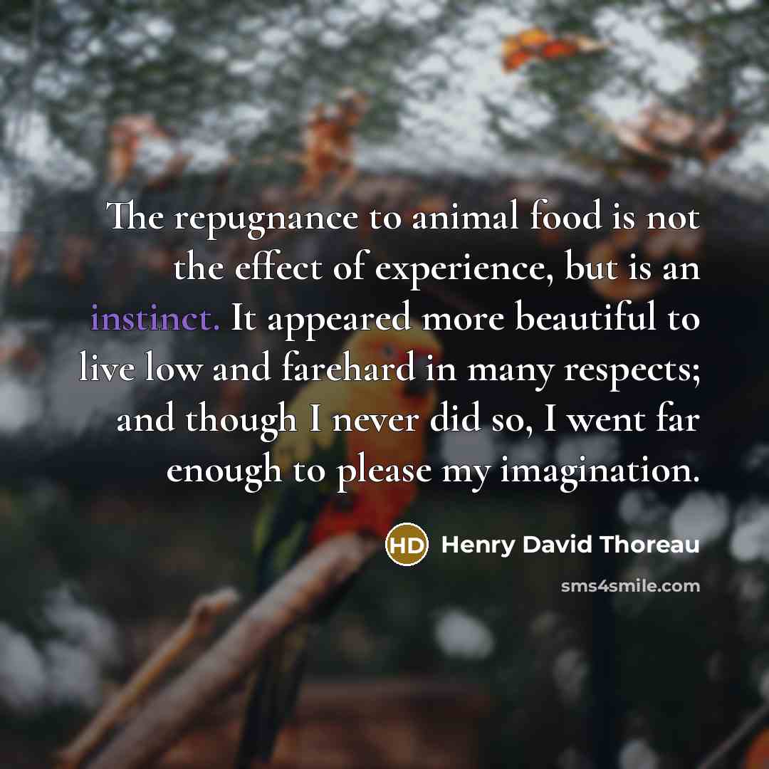 “The repugnance to animal food is not the effect of…” quote by Henry David Thoreau