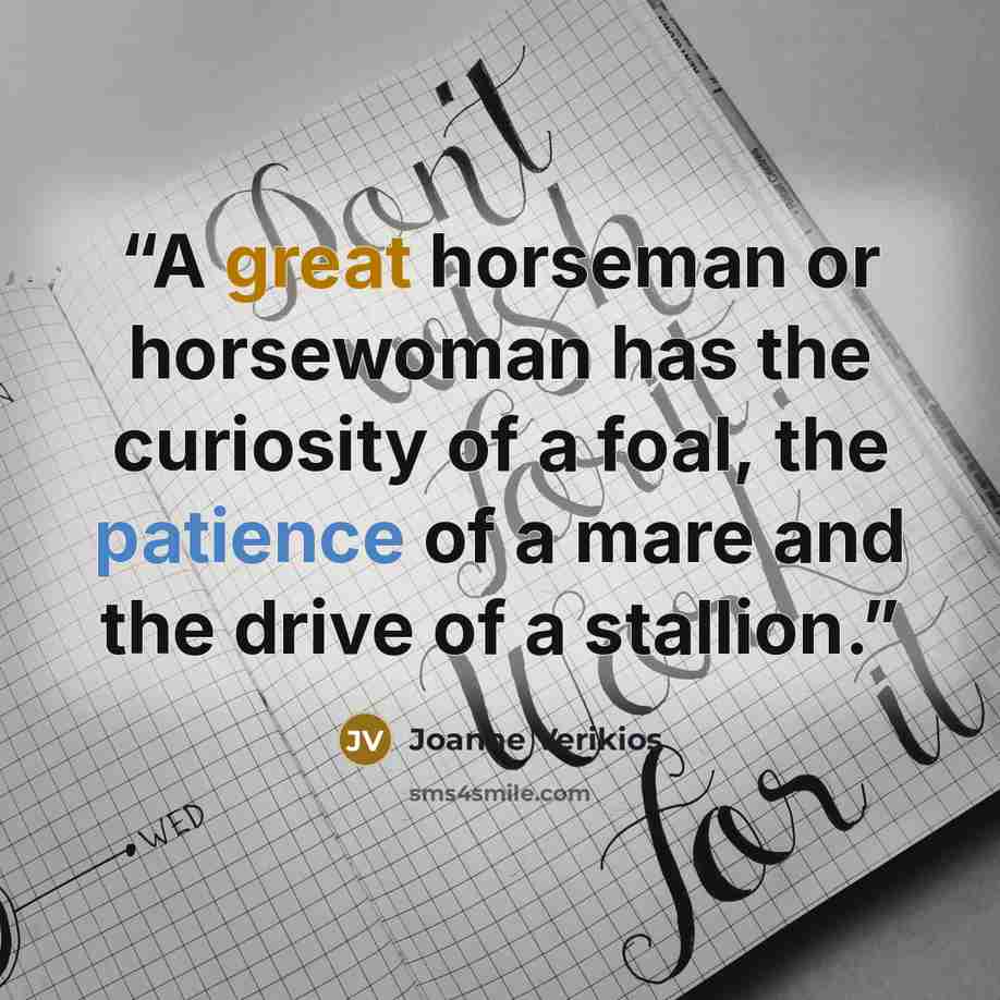 “A great horseman or horsewoman has the curiosity of a foal, the patience of a mare and the drive of a stallion.” quote by Joanne Verikios