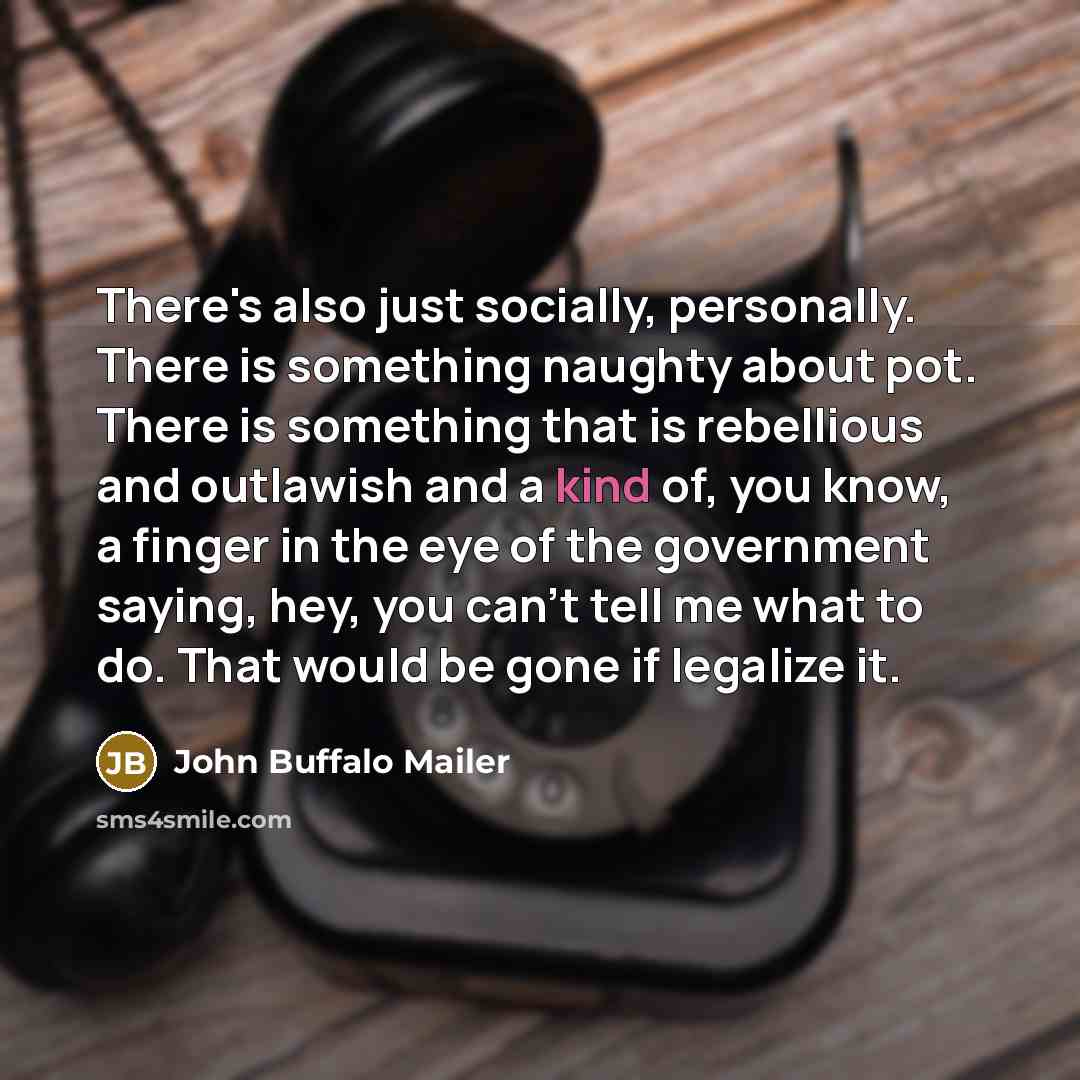“There's also just socially, personally. There is something naughty about…” quote by John Buffalo Mailer