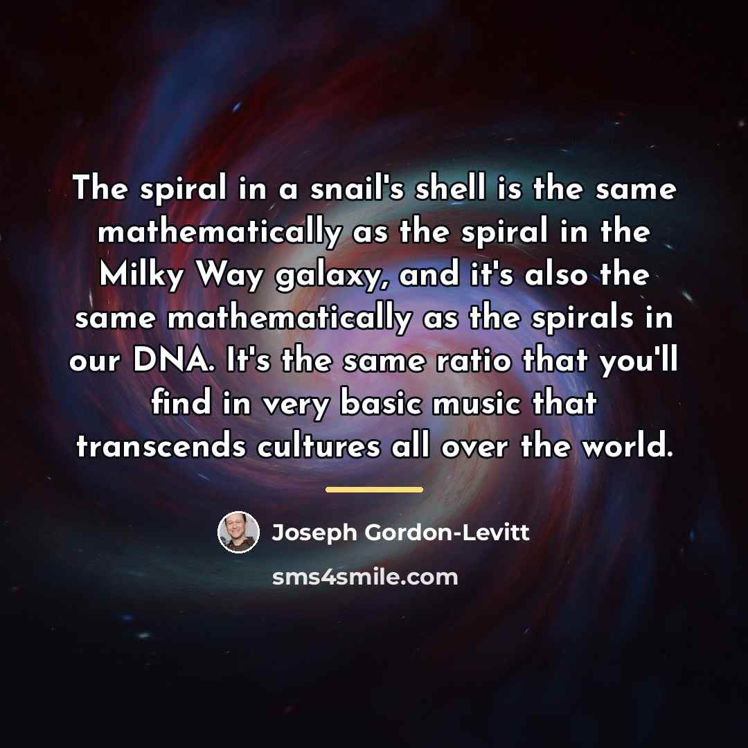 “The spiral in a snail's shell is the same mathematically…” quote by Joseph Gordon-Levitt