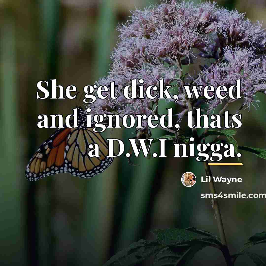 “She get dick, weed and ignored, thats a D.W.I nigga.…” quote by Lil Wayne