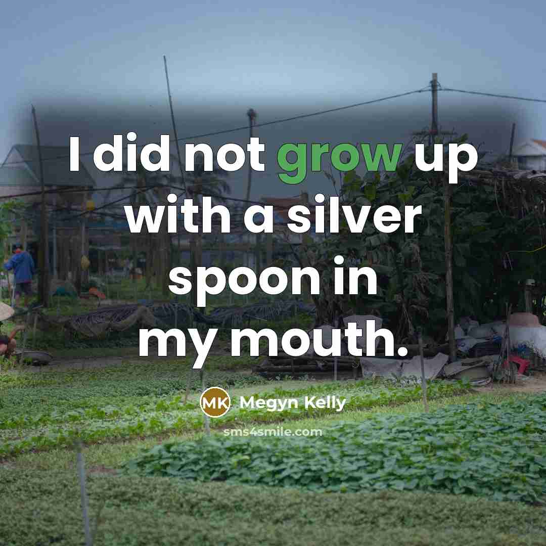 “I did not grow up with a silver spoon in…” quote by Megyn Kelly