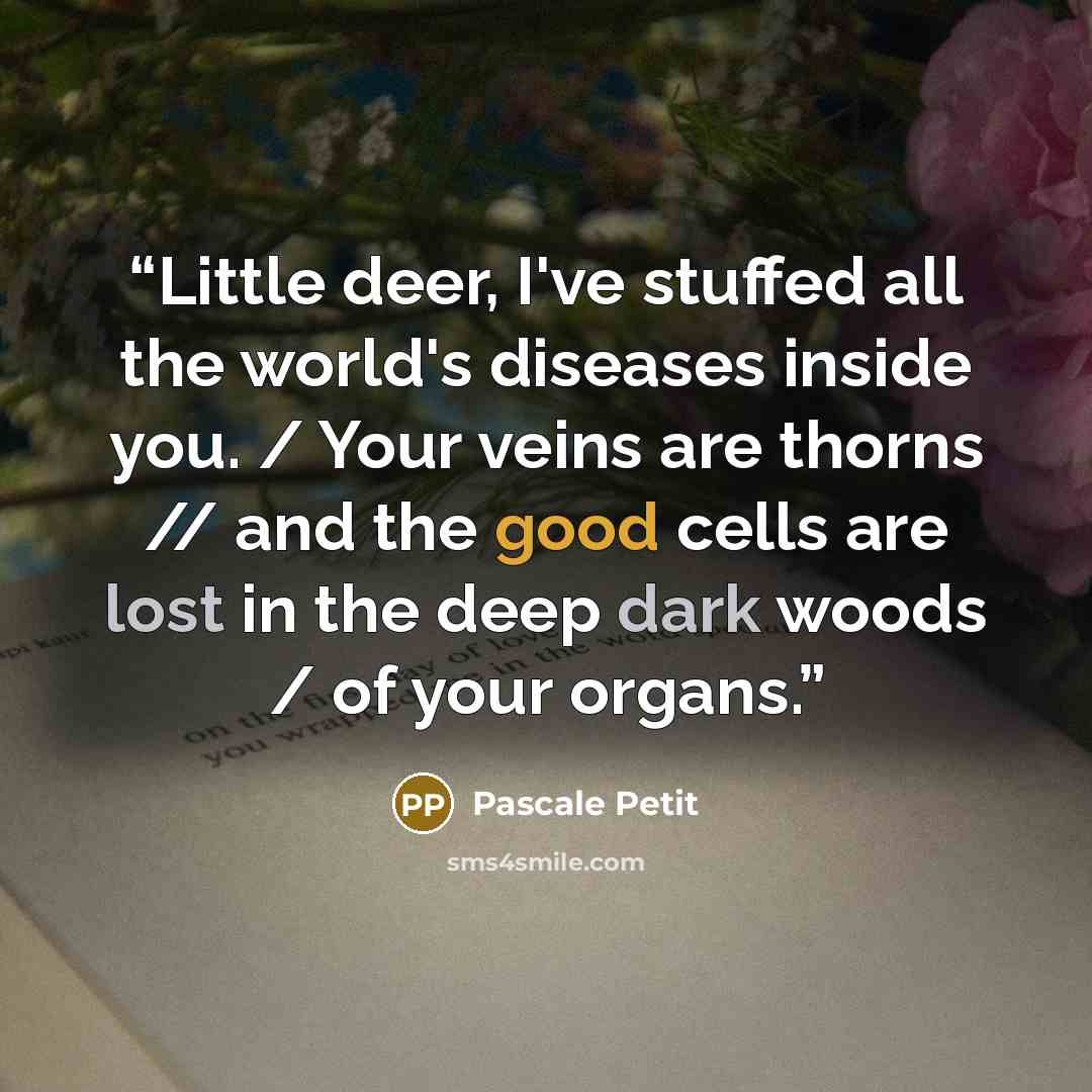 “Little deer, I've stuffed all the world's diseases inside you. / Your veins are thorns // and the good cells are lost in the deep dark woods / of your organs.” quote by Pascale Petit