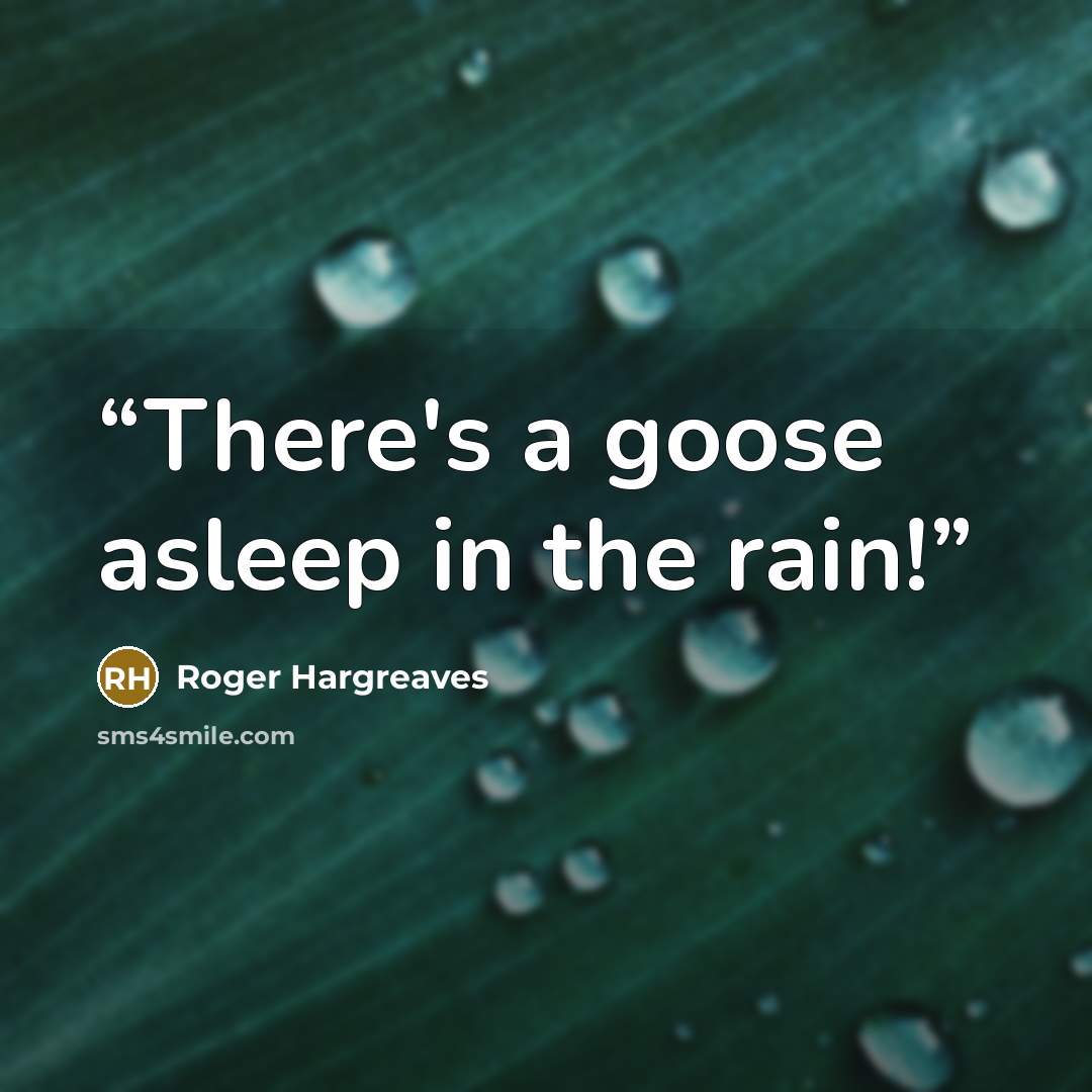 “There's a goose asleep in the rain!” quote by Roger Hargreaves