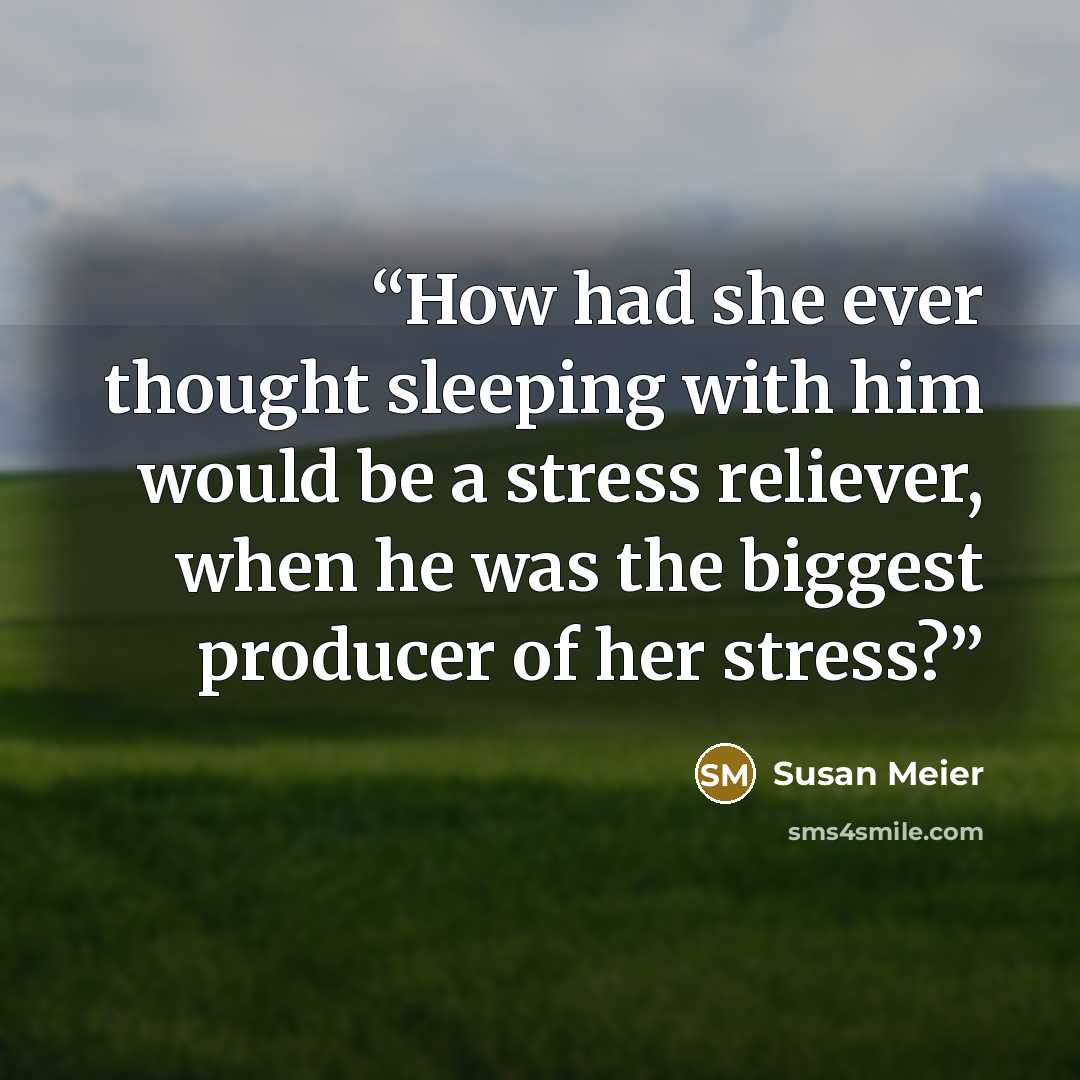 “How had she ever thought sleeping with him would be a stress reliever, when he was the biggest producer of her stress?” quote by Susan Meier